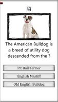 Strong Dogs Quiz تصوير الشاشة 2