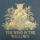 The Wind in the Willows-icoon