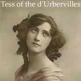 Tess of the d'Urbervilles 圖標