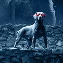 The Hound of the Baskervilles APK