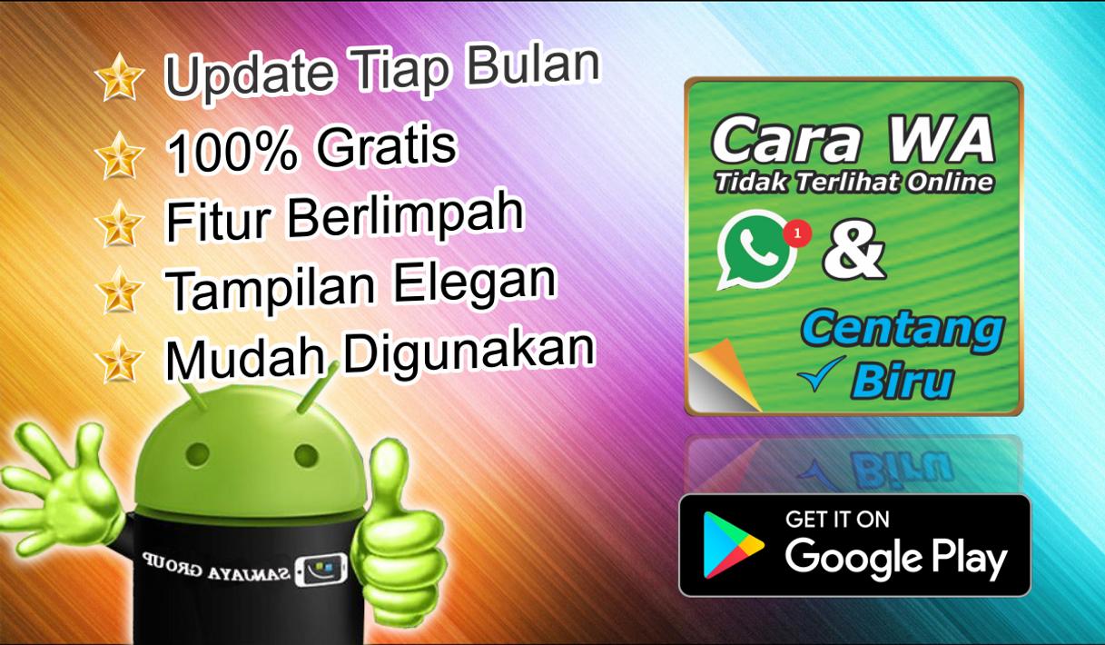 Cara WA Tidak Terlihat Online dan Centang Biru para