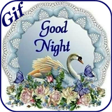 Good Night Gif أيقونة