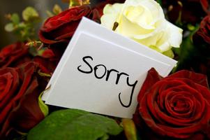 Sorry Hd Images تصوير الشاشة 3