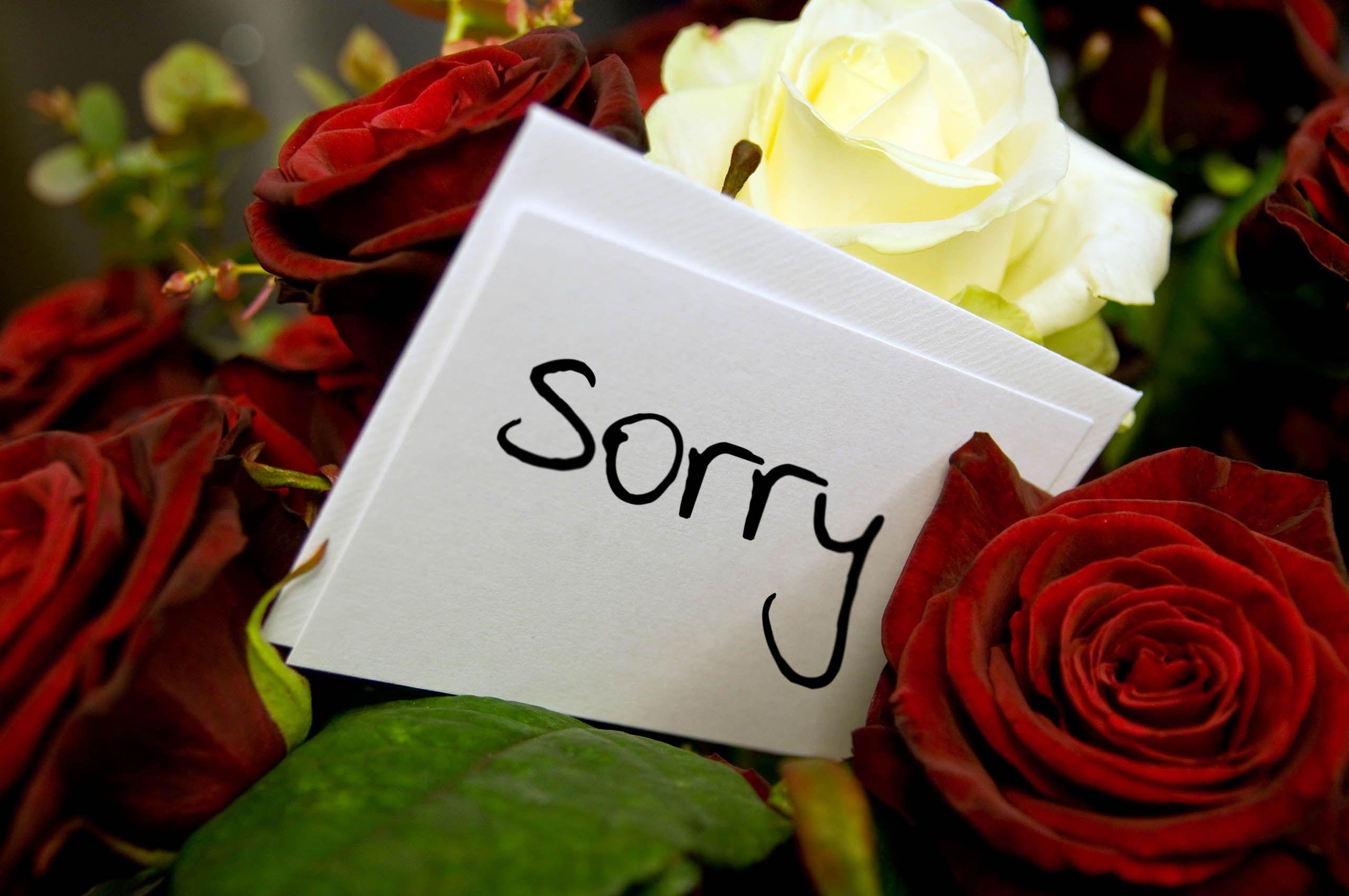 Sorry Hd Images For Android Apk Download