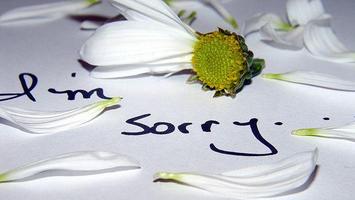 Sorry Hd Images পোস্টার