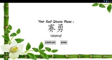 My Real Chinese Name captura de pantalla 3