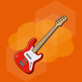 Real Bass Guitar