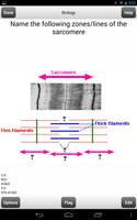 Pre-Med MCAT Flashcards Lite ポスター