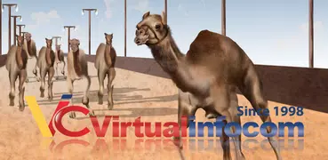 3D гонки на верблюдах