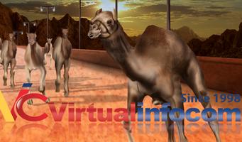 پوستر Camel race 3D