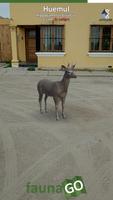 Fauna GO Beta पोस्टर