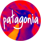 This is Patagonia RA 아이콘