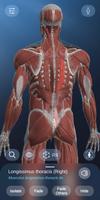 AR Anatomy 截图 3