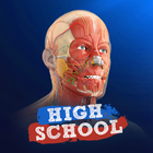 High School Anatomy 21-icoon