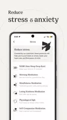 Virtusan: NSDR, 40 Hz and more XAPK download