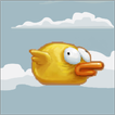 ”Bird Hero