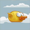 Bird Hero