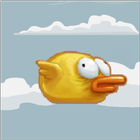 Bird Hero biểu tượng