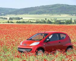 Fonds d'écran Peugeot 107 capture d'écran 2