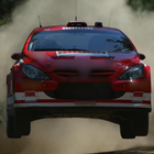 Fonds d'écran Peugeot 307 WRC icône