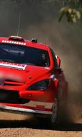 Fonds d'écran Peugeot 307 WRC Affiche