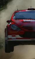 壁紙プジョー307 WRC スクリーンショット 1
