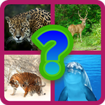 Quiz sur les animaux APK