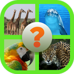 Quiz tiere APK