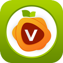 Vitamin Sources From Fruits APK