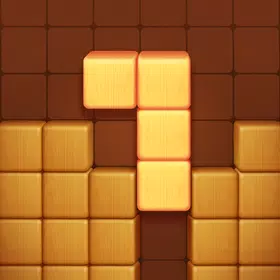 Wood Block Puzzle Games