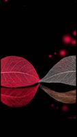 HD Vivo X5 X6 X7 X9 Wallpaper screenshot 3
