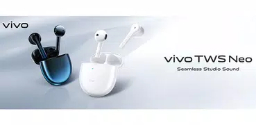 vivo Earphones