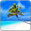 Maldives 3D LWP, True Weather APK
