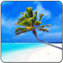 Maldives 3D LWP, True Weather APK