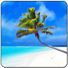 Maldives 3D LWP, True Weather আইকন