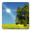 True Weather, Meteorologia APK