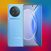 ”Vivo X100