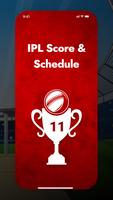 Dream Live Cricket Score 11 Plakat