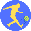 APK Crazy Goal Game