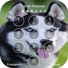 Siberian Husky Lock Screen icône
