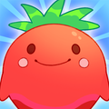 Puzzle Fruit