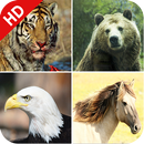 170 Animal Sounds APK