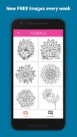 Colorify ảnh chụp màn hình 1