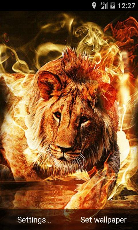 Fire Lion Live Wallpaper APK for Android Download Fire Lion Live Wallpaper APK for Android Download