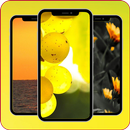 Wallpapers For VIVO IQOO U6 APK