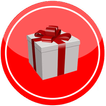 Gift List Diary - Christmas Pr