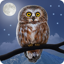 Owl Landscape APK