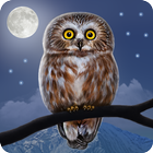 Owl Landscape ikona