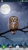 Owl Landscape plakat