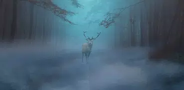 Mob影视大全